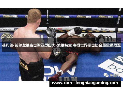 菲利普·希尔戈维奇击败亚历山大·波维特金 夺得世界拳击协会重量级冠军 菲利普·希尔戈维奇击败亚历山大·波维特金 夺得世界拳击协会重量级冠军