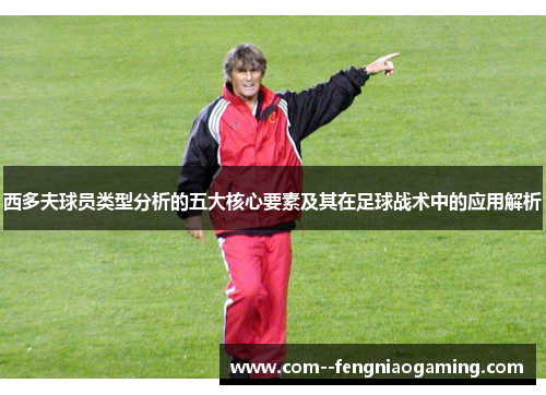 西多夫球员类型分析的五大核心要素及其在足球战术中的应用解析