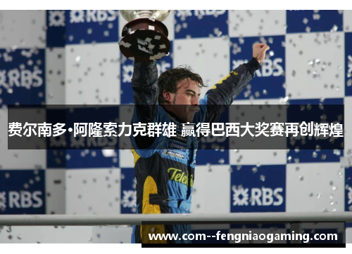 费尔南多·阿隆索力克群雄 赢得巴西大奖赛再创辉煌 费尔南多·阿隆索力克群雄 赢得巴西大奖赛再创辉煌
