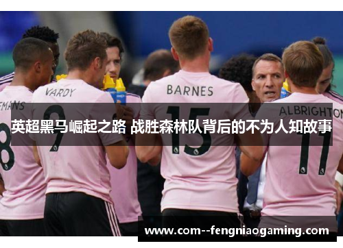 英超黑马崛起之路 战胜森林队背后的不为人知故事 英超黑马崛起之路 战胜森林队背后的不为人知故事