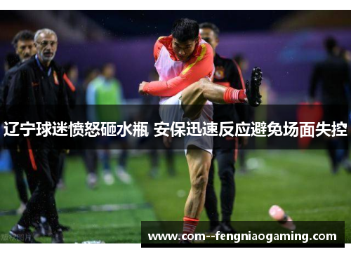 辽宁球迷愤怒砸水瓶 安保迅速反应避免场面失控