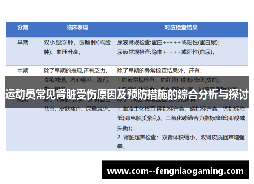 运动员常见肾脏受伤原因及预防措施的综合分析与探讨