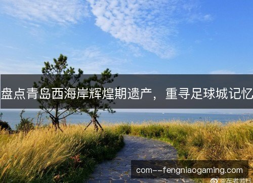 盘点青岛西海岸辉煌期遗产，重寻足球城记忆